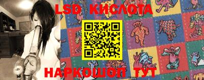 ГАЛЛЮЦИНОГЕННЫЕ ГРИБЫ Кимры