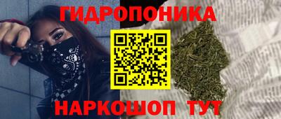 прущая мука Кингисепп