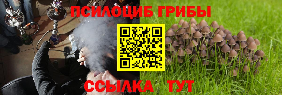 Псилоцибиновые грибы GOLDEN TEACHER Красноуфимск